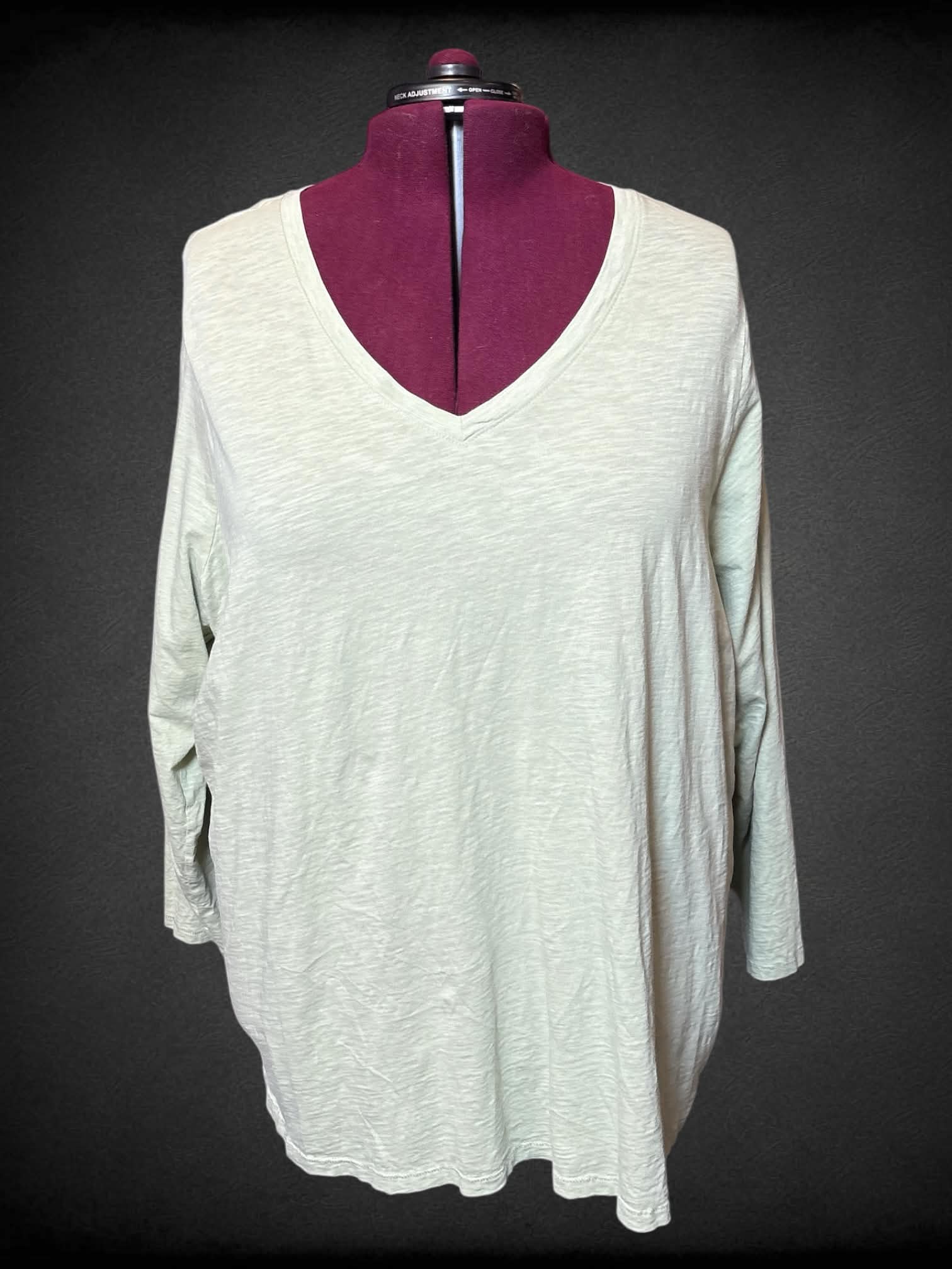 5X Sonoma light green long sleeve top