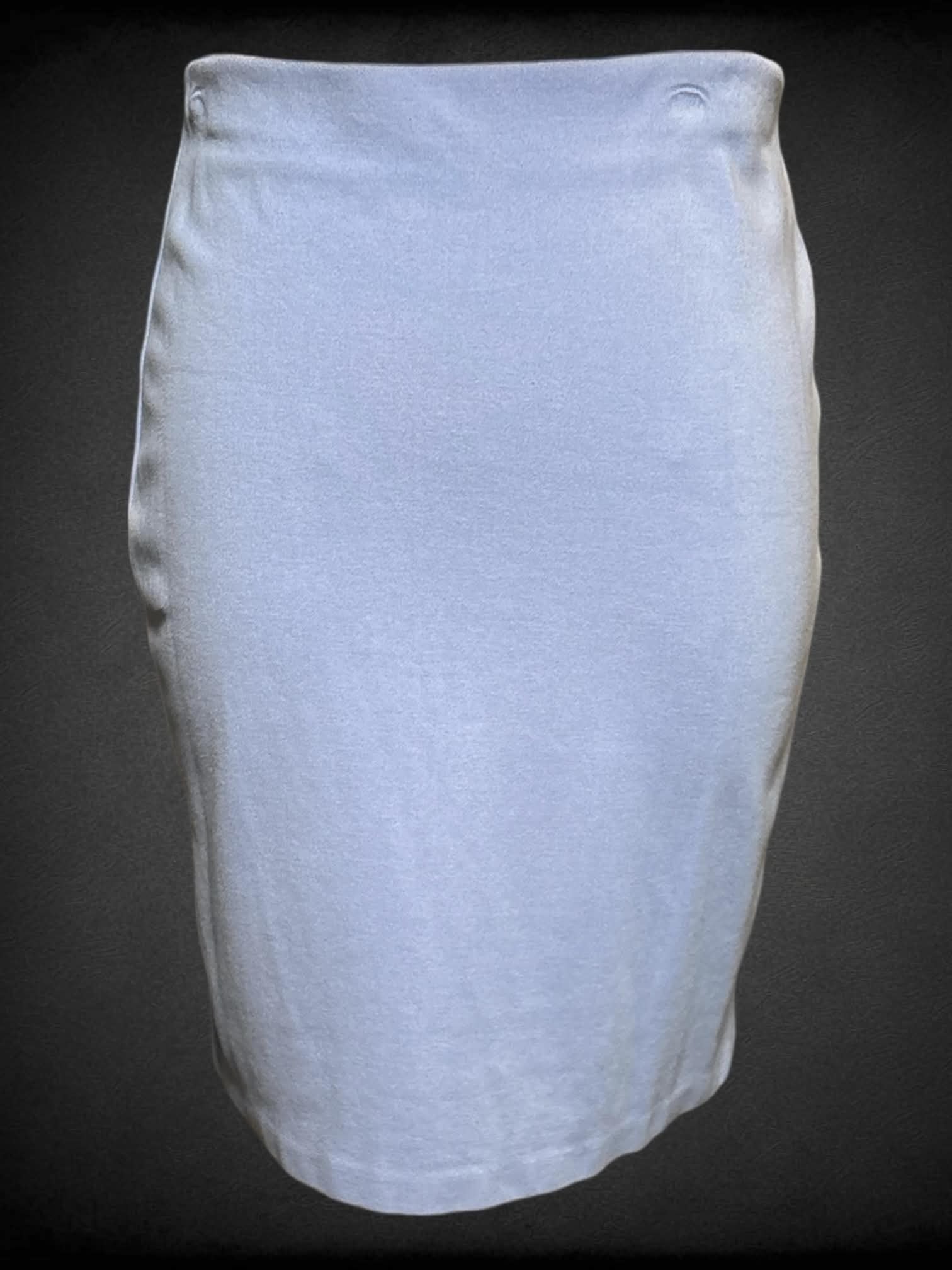 0X Premise light blue pencil skirt with zipper on back