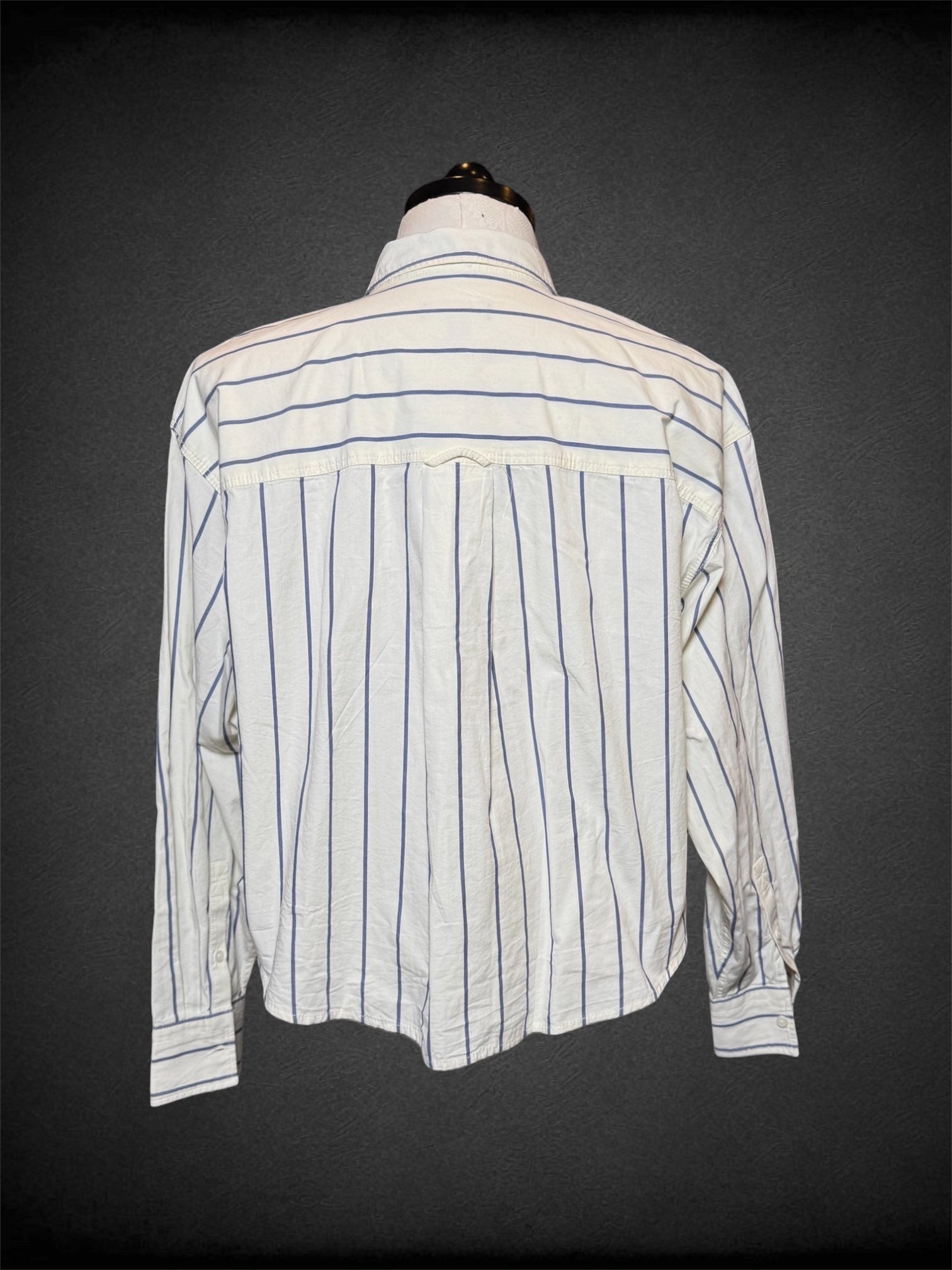 XL NWT J Crew white and blue striped cropped button up with one chest pocket