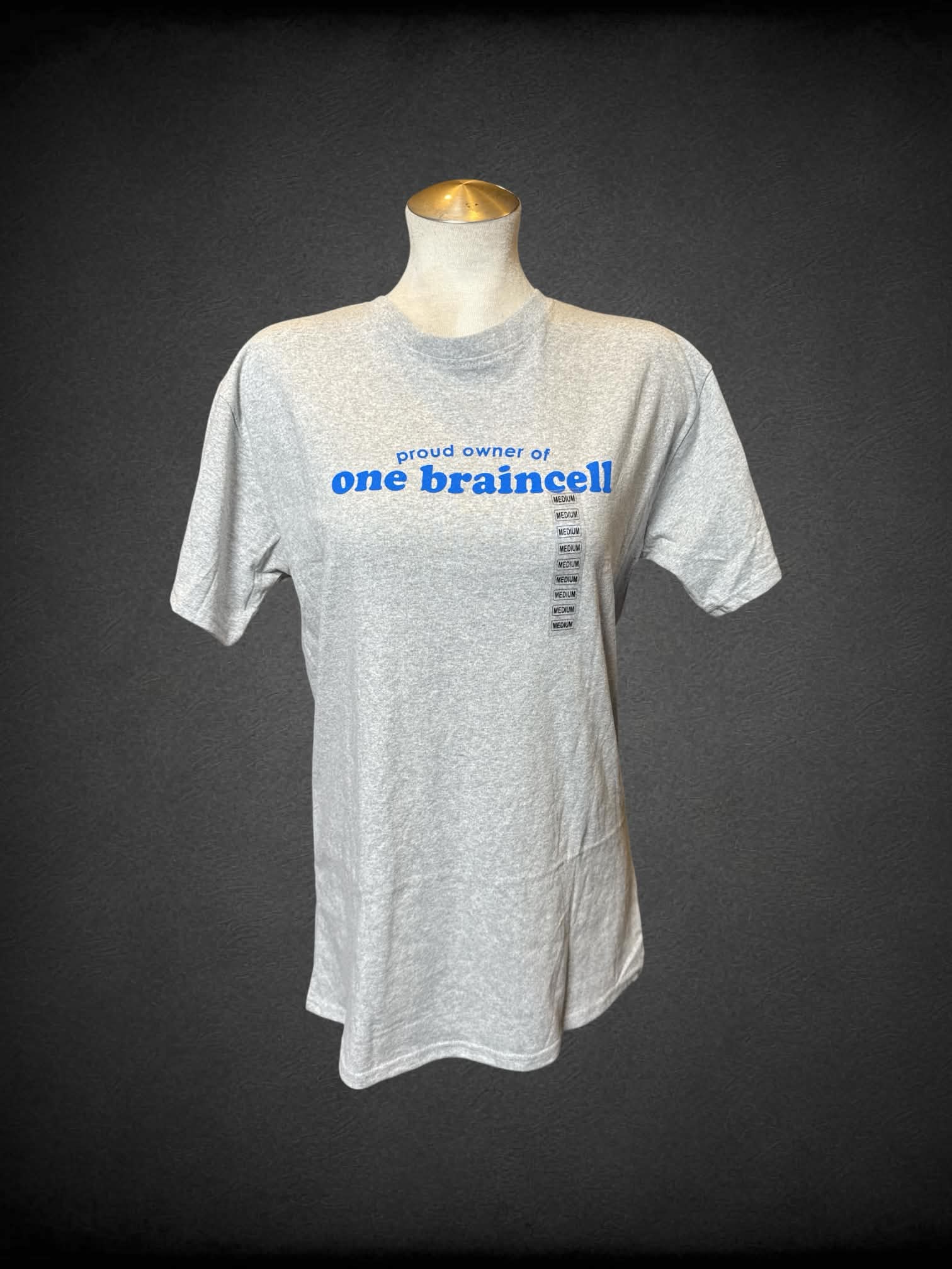 L NWT Brisco heathered grey t shirt with “Proud Owner of One Braincell” graphic
