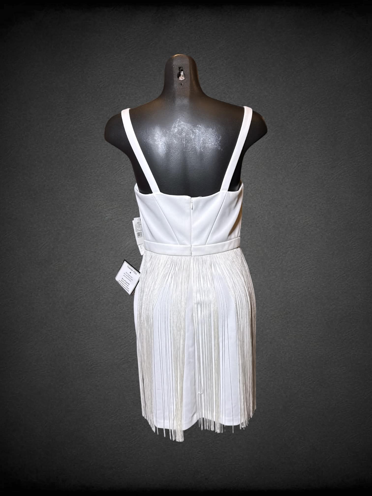 M NWT Aidan white sleeveless dress with pleated bottom, and zipper on back