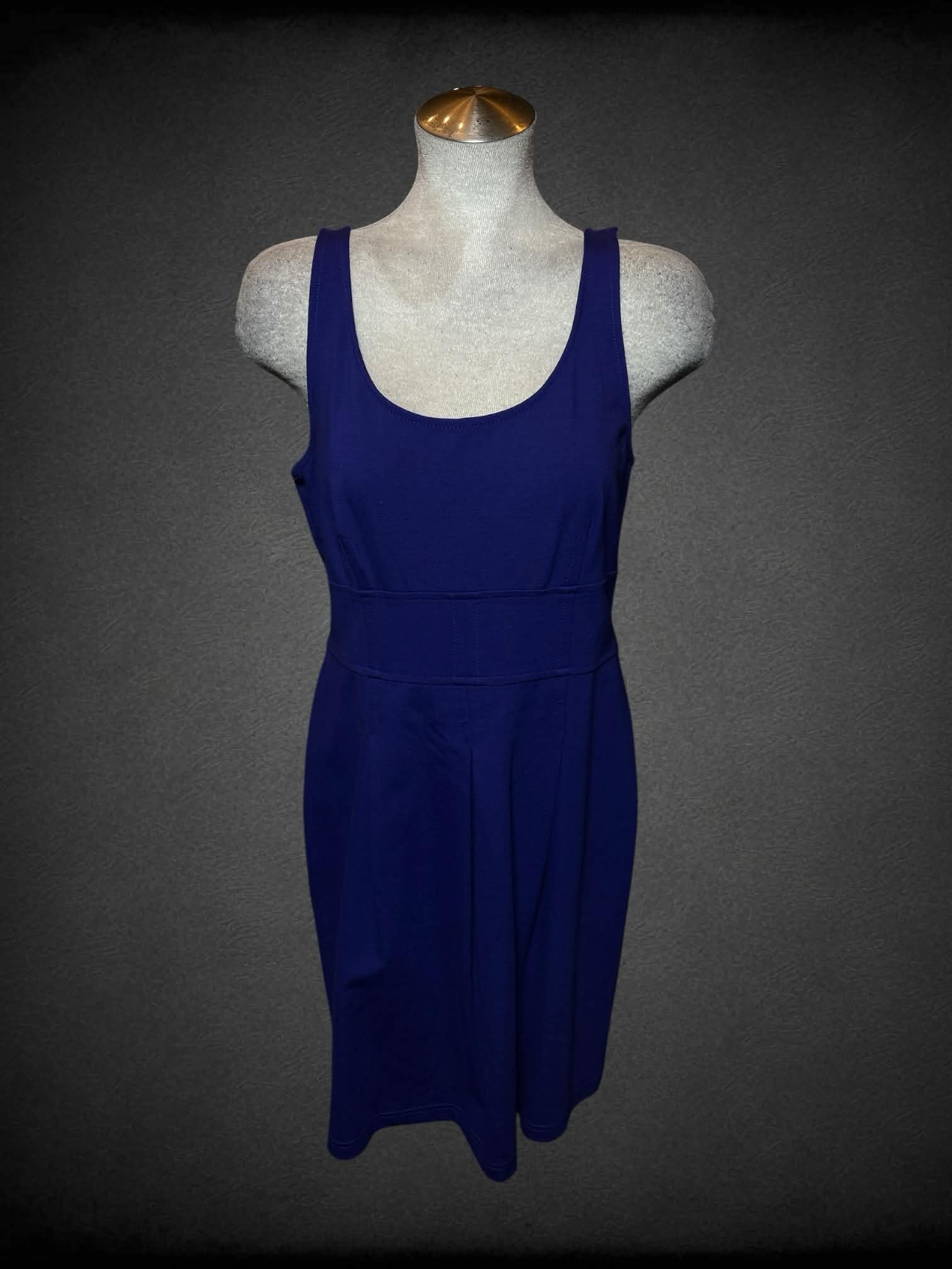 L Loft royal blue dress with zipper on back L Loft royal blue dress with zipper on back