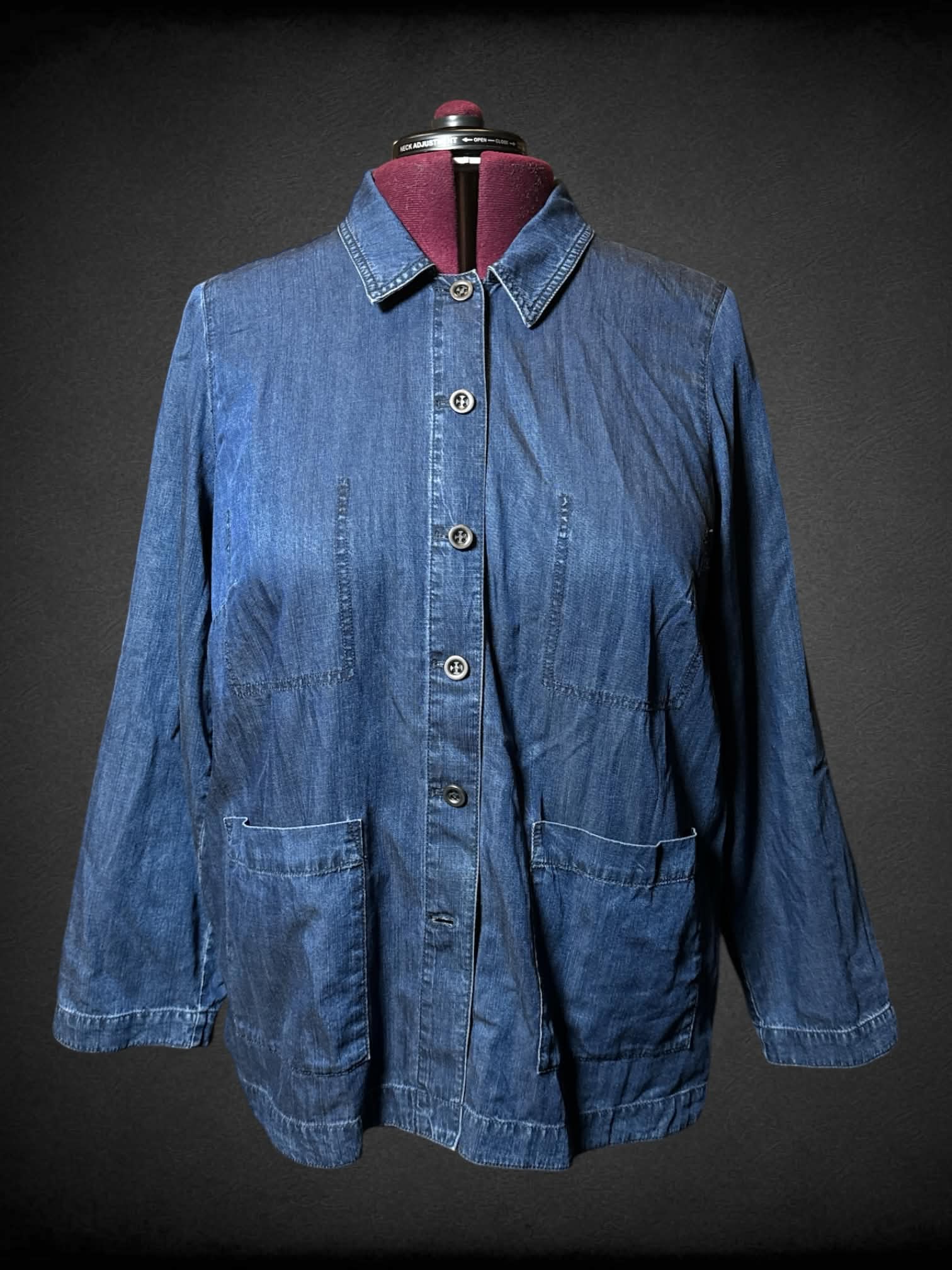 1X Eileen Fisher denim button up shirt