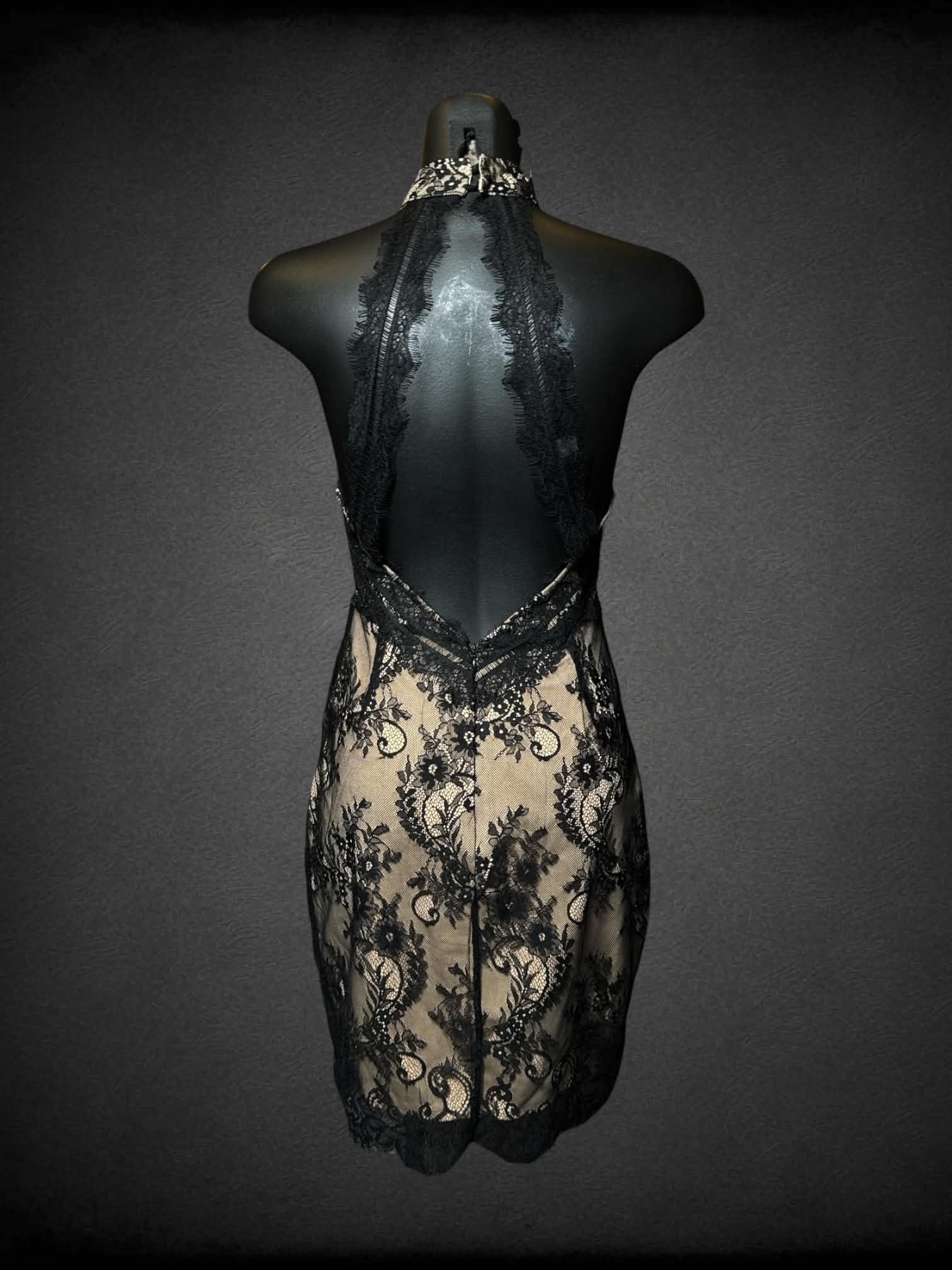 S ASTR black & tan dress with black floral lace outer layer, and zipper on back