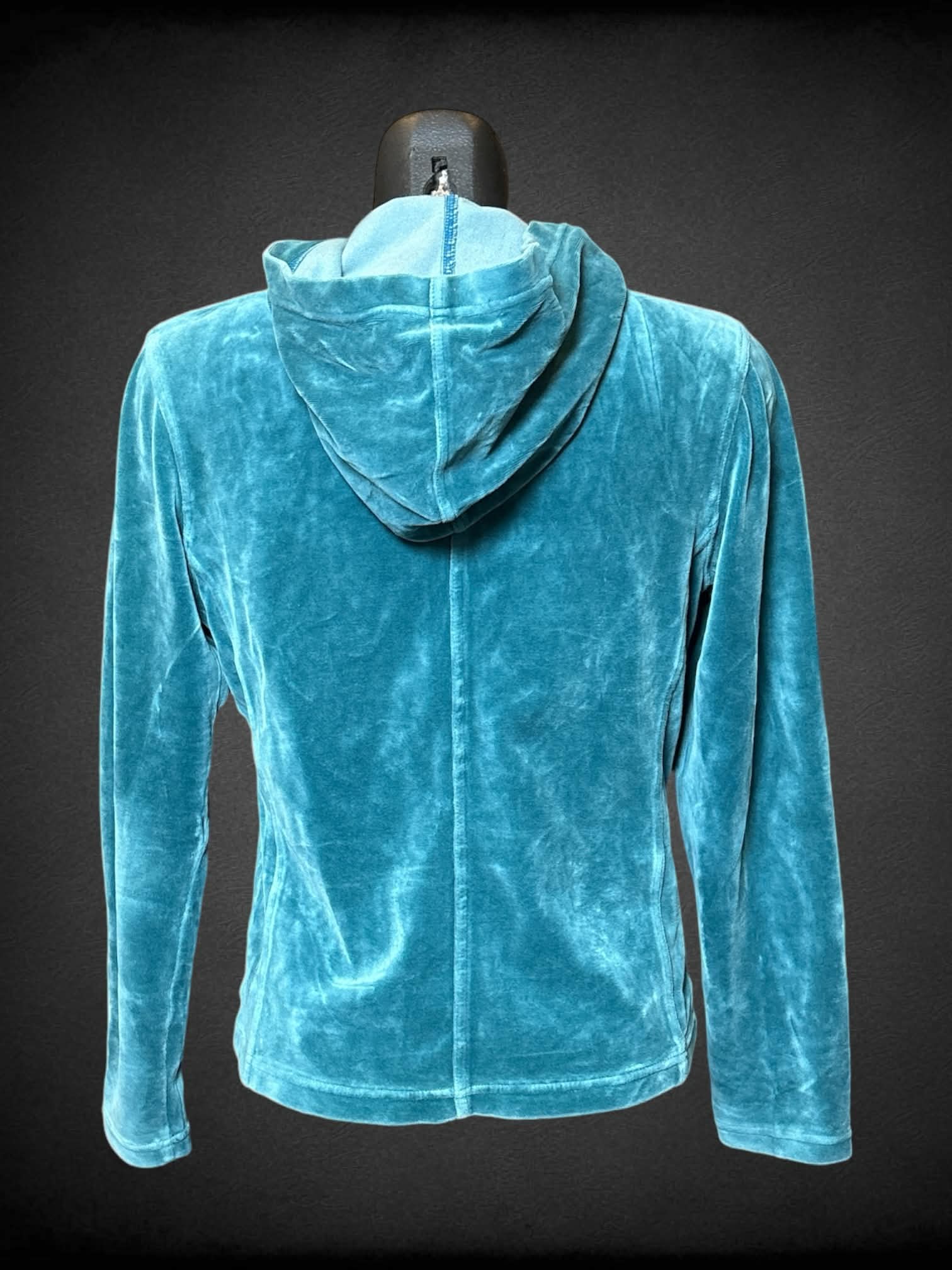 S The Territory Ahead vintage teal velvet-like hoodie