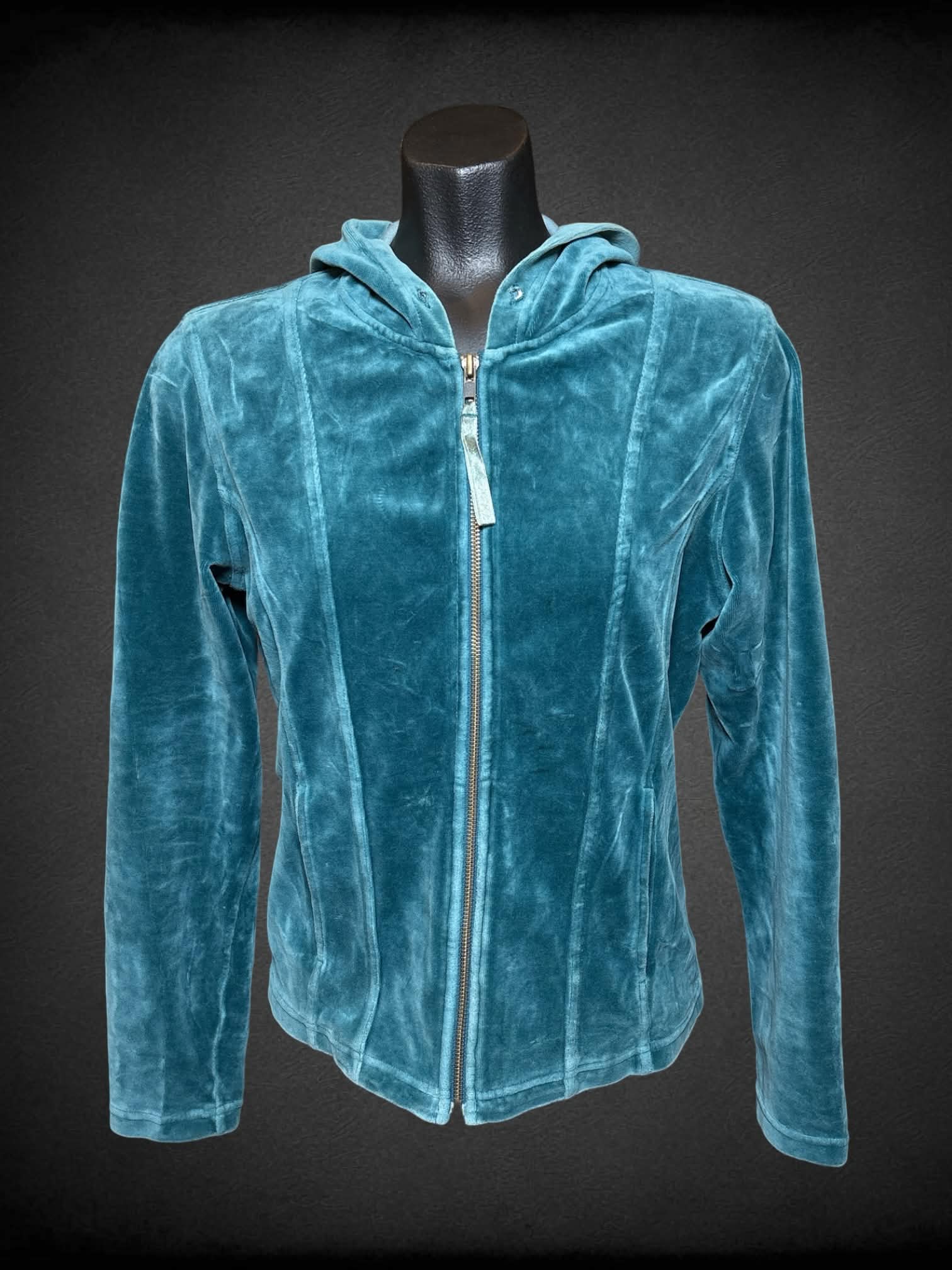S The Territory Ahead vintage teal velvet-like hoodie