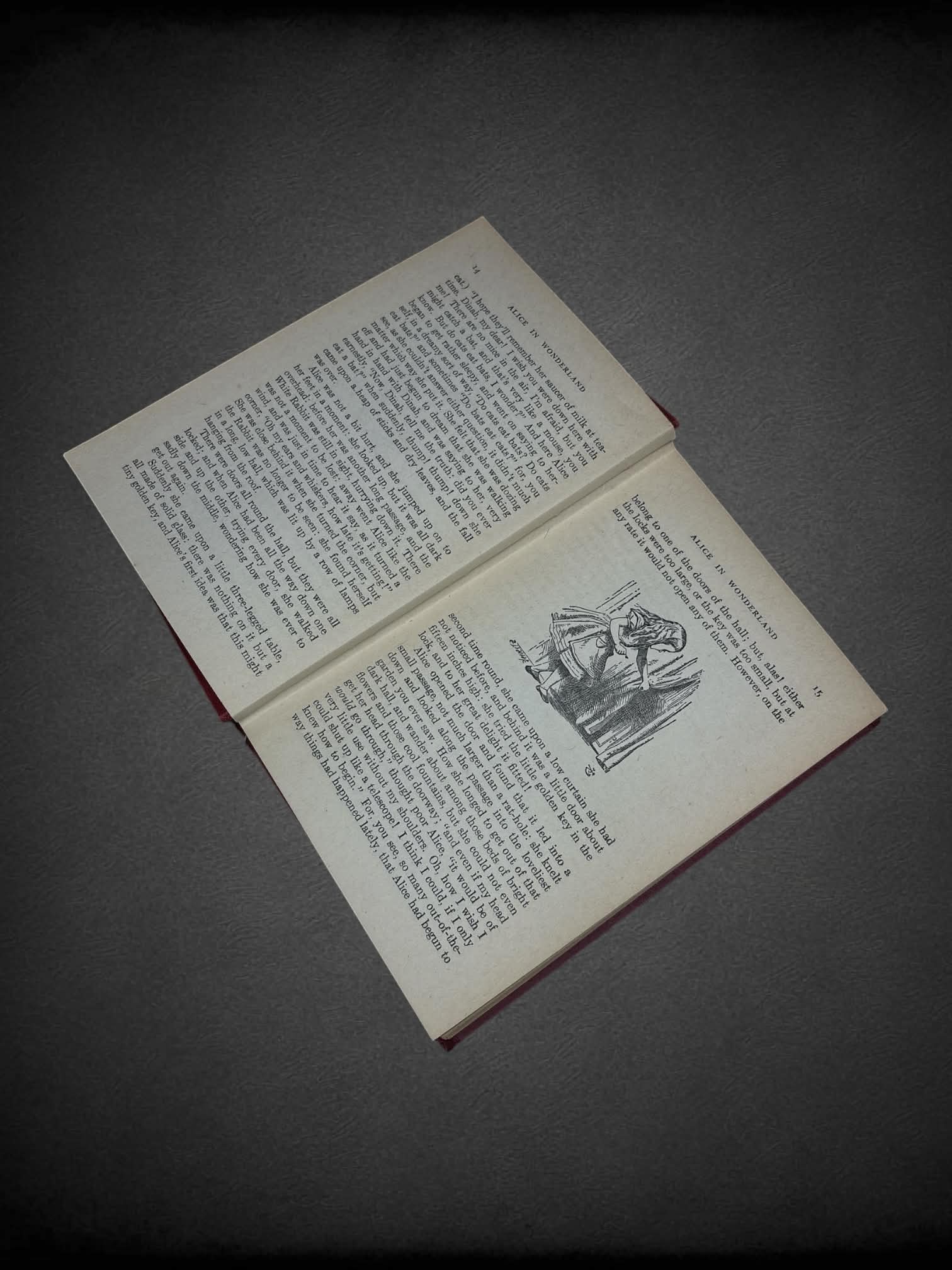 Vintage Alice in Wonderland novel by Lewis Carroll