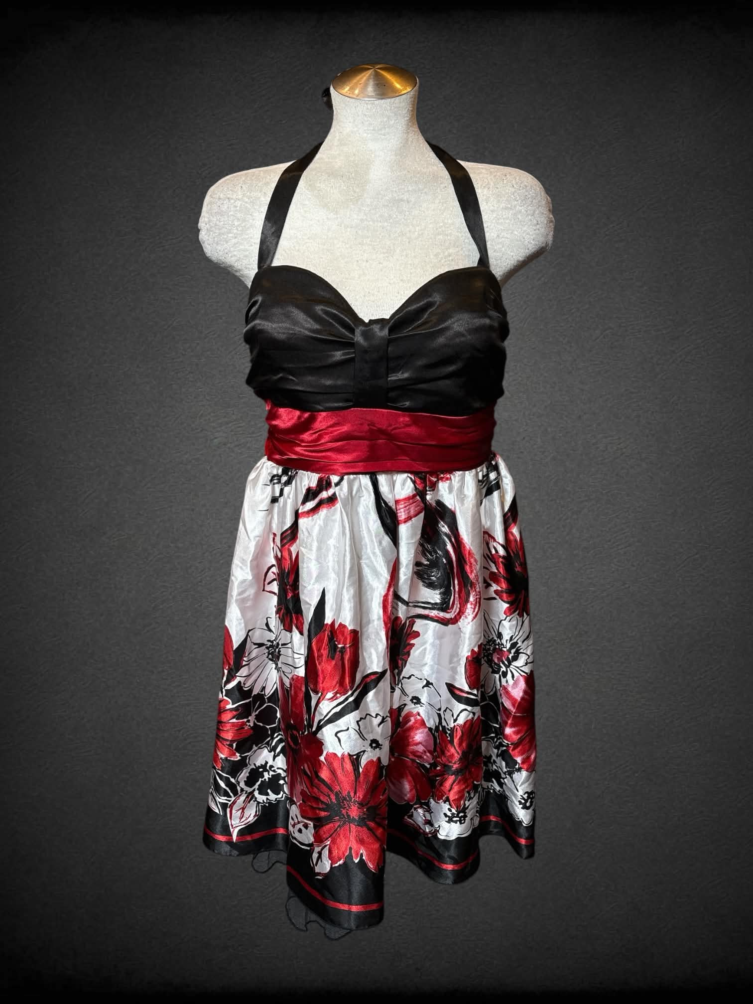 L Three Pink Hearts Trixxie vintage black & white dress with red floral design, ribbon tie waist and zipper on back
