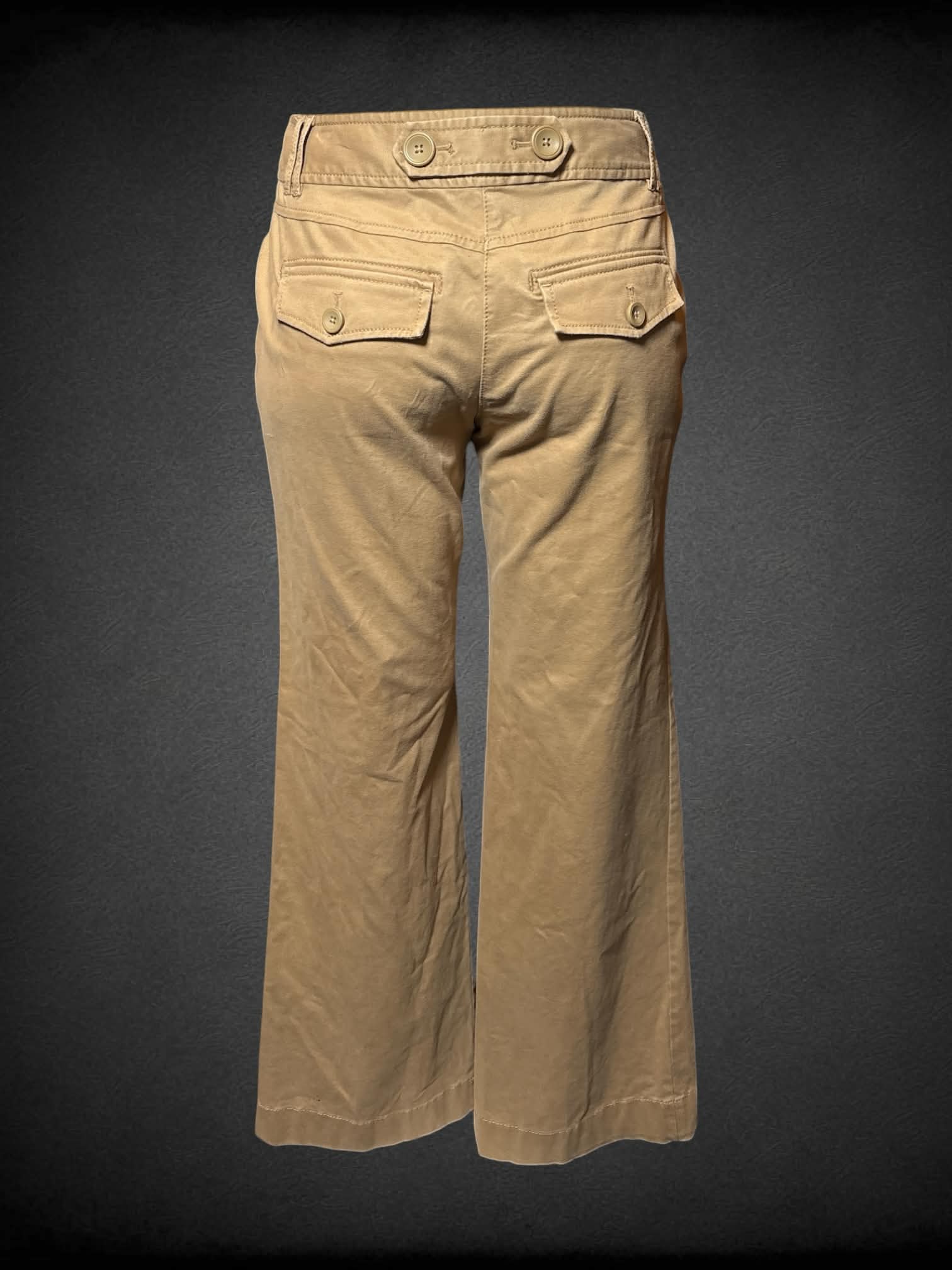 L Loft khaki pants