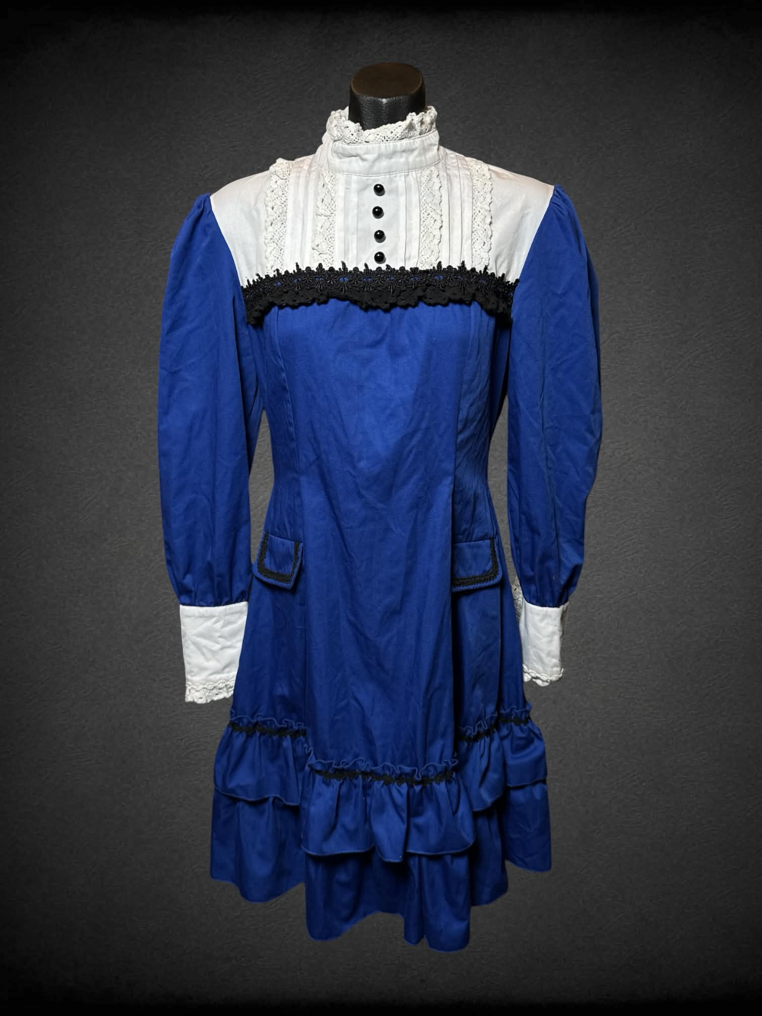 M Fanplusfriend NWT royal blue dress with pleated white lace collar, faux pockets and zipper on back