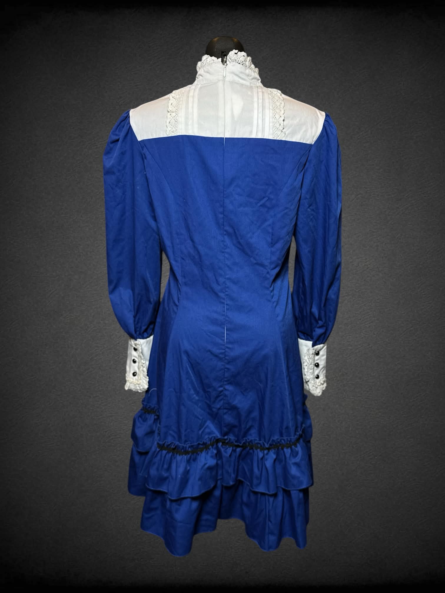 M Fanplusfriend NWT royal blue dress with pleated white lace collar, faux pockets and zipper on back