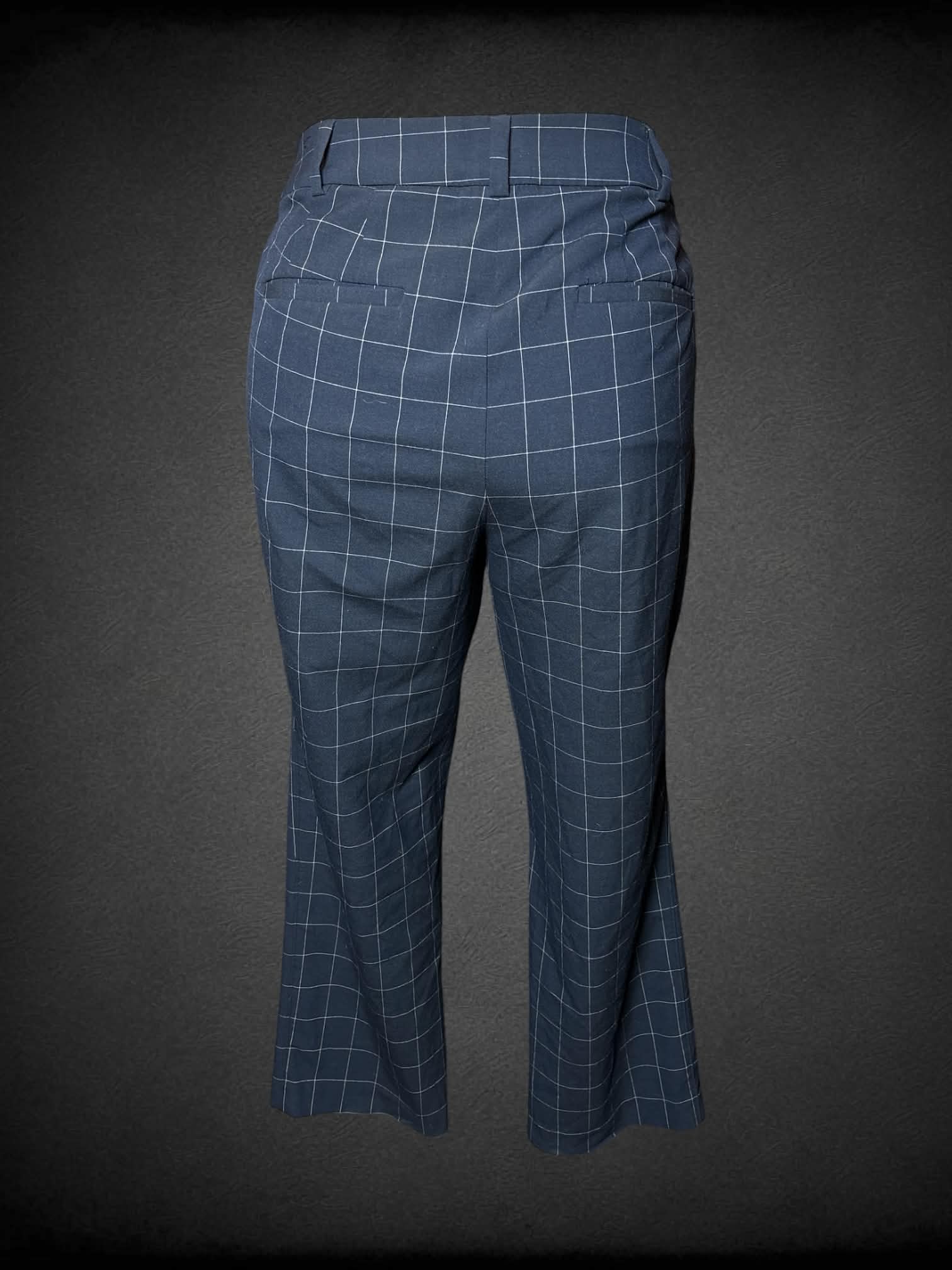 1X Lane Bryant navy blue pants with white grid pattern