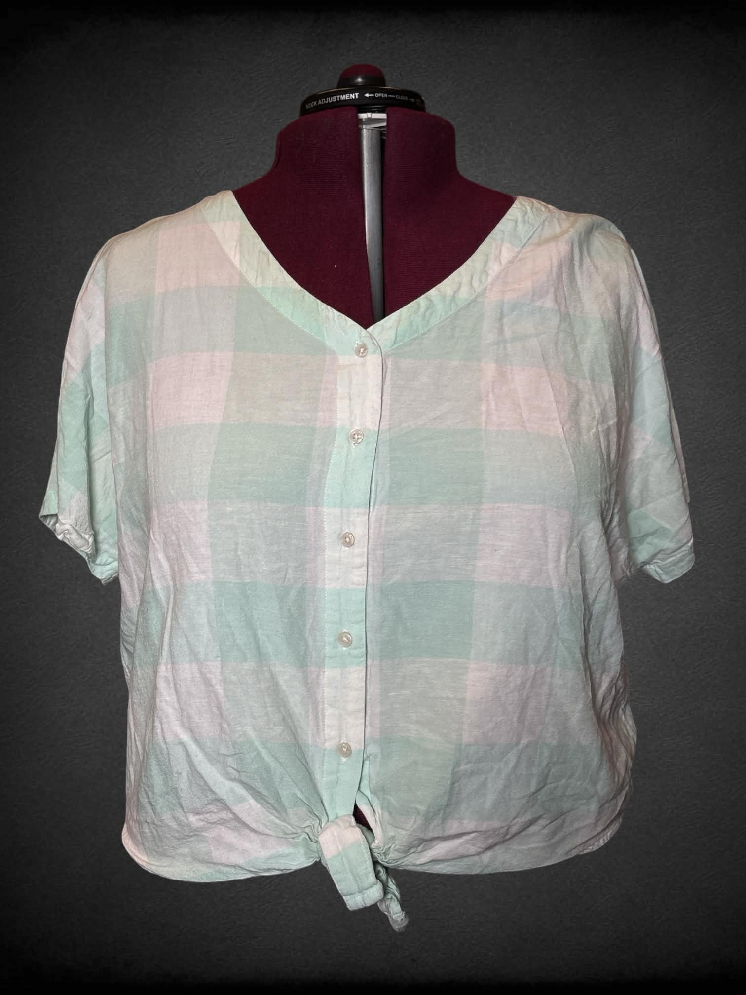 2X Style & Co mint green & white plaid button-up cropped top with adjustable tie on front