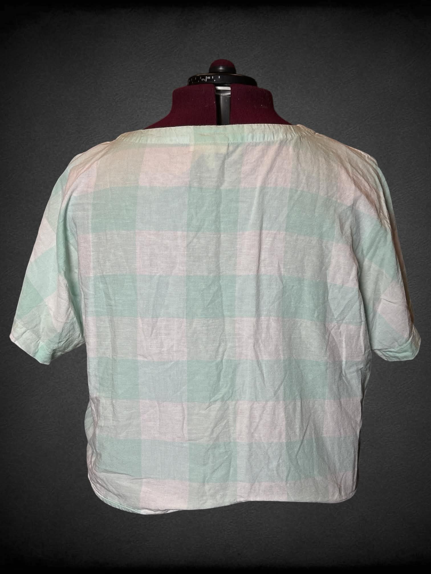 2X Style & Co mint green & white plaid button-up cropped top with adjustable tie on front