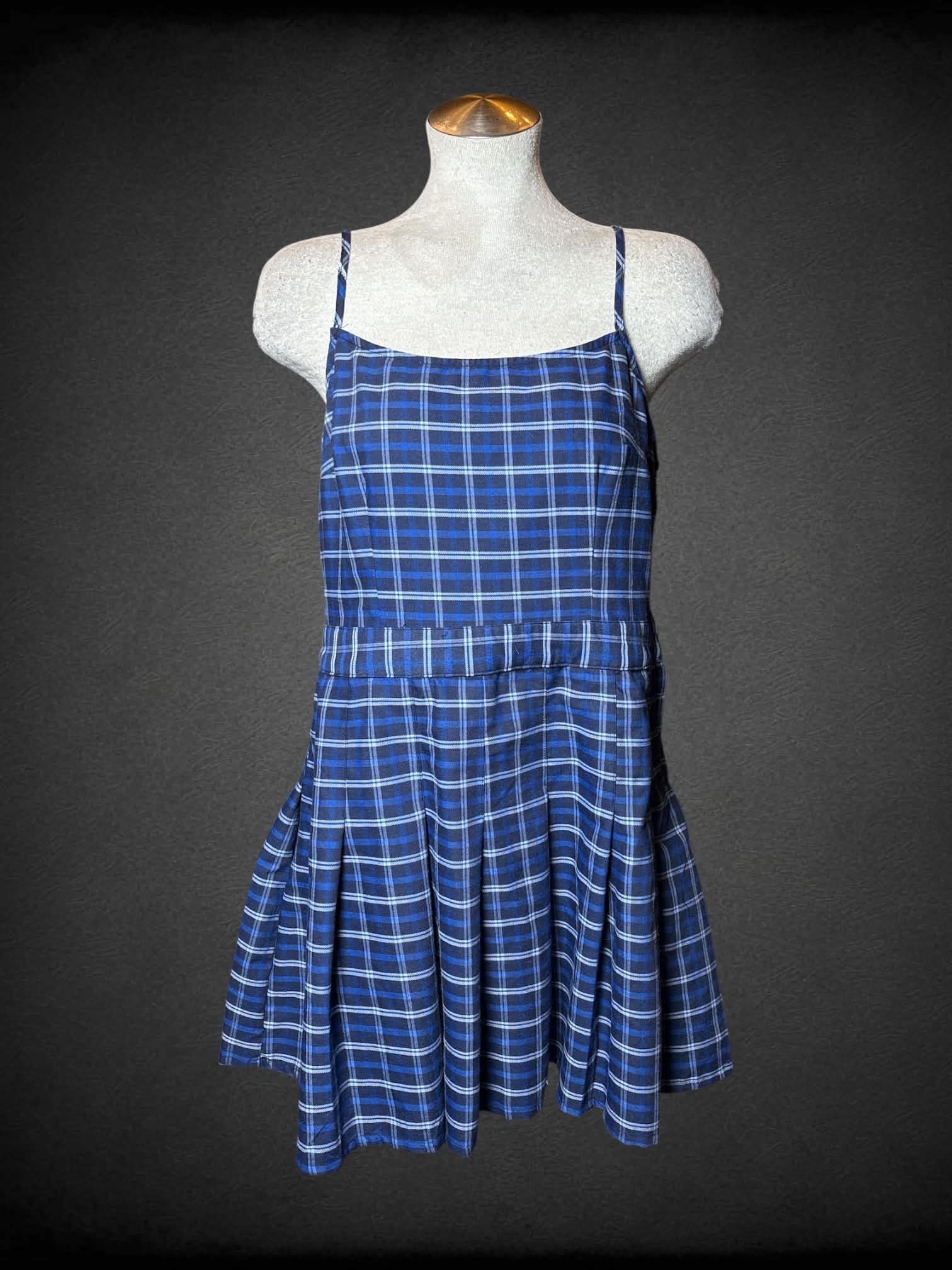 L Divided blue plaid dress with pleated skirt, and zipper on side