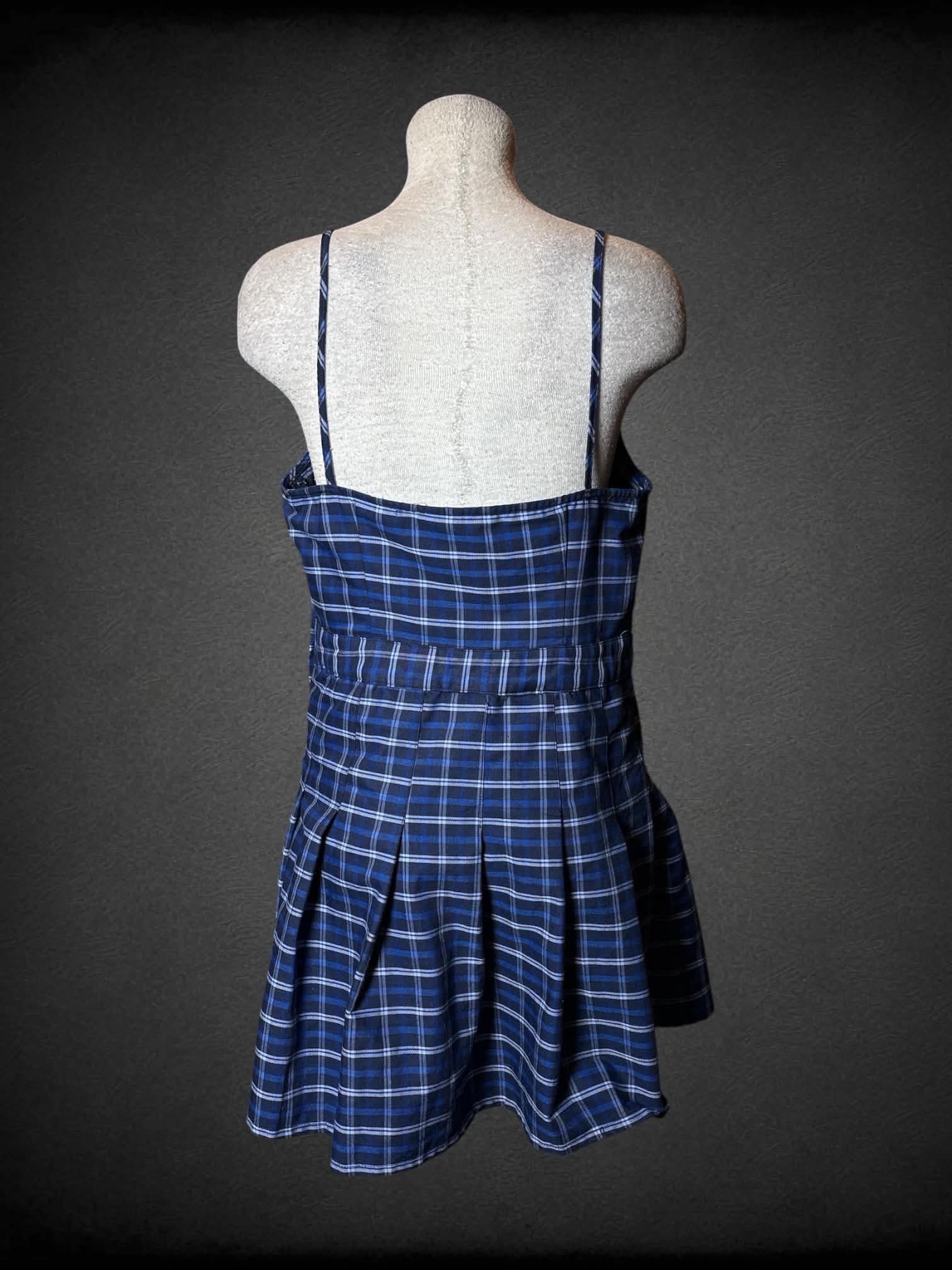 L Divided blue plaid dress with pleated skirt, and zipper on side
