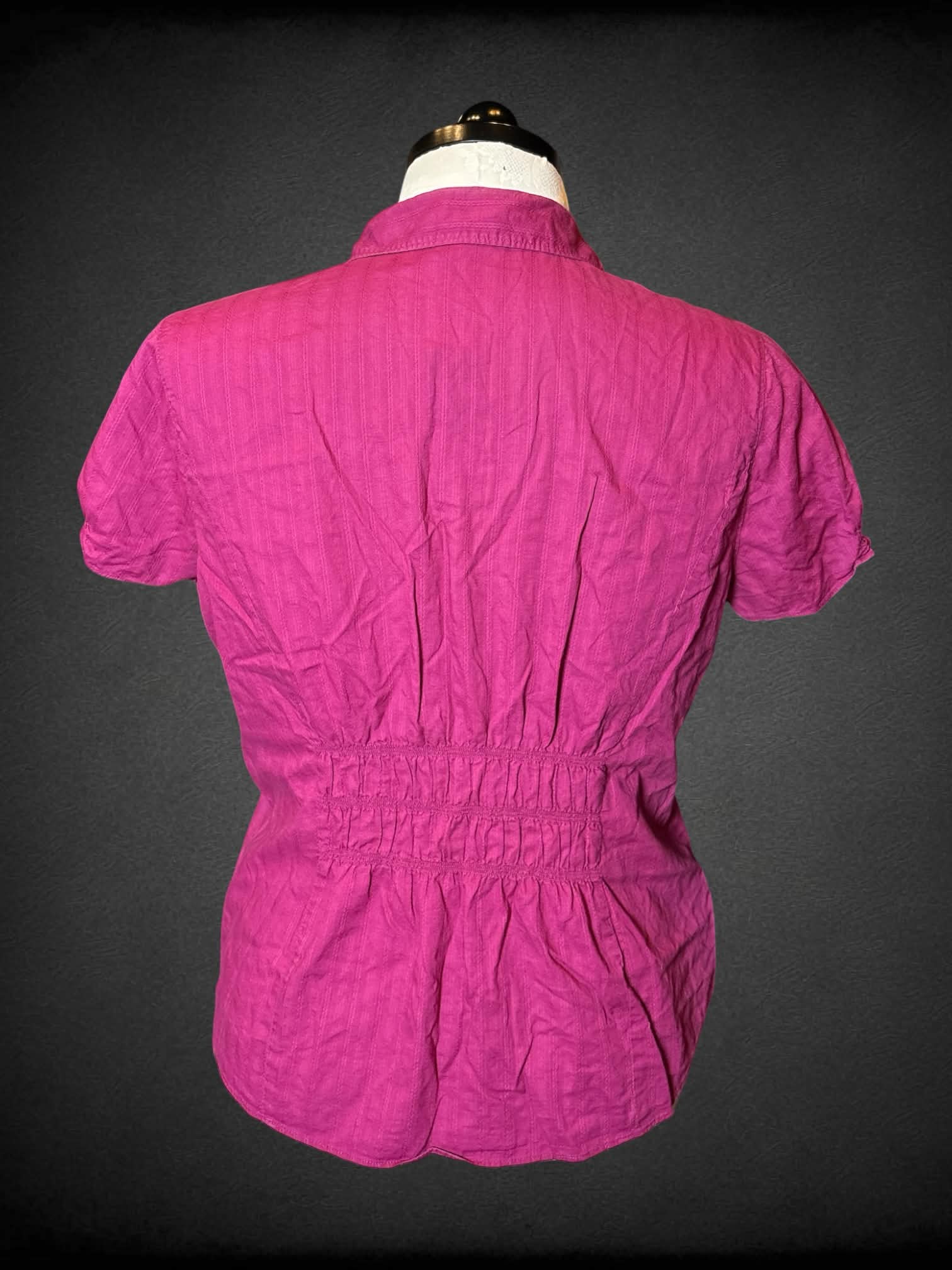 1X Eddie Bauer pink button-up blouse with shirred pattern on front