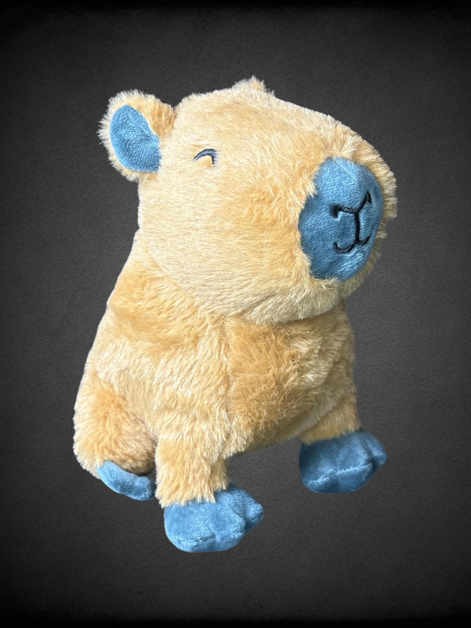 Send A Friend NWT Capybara plush