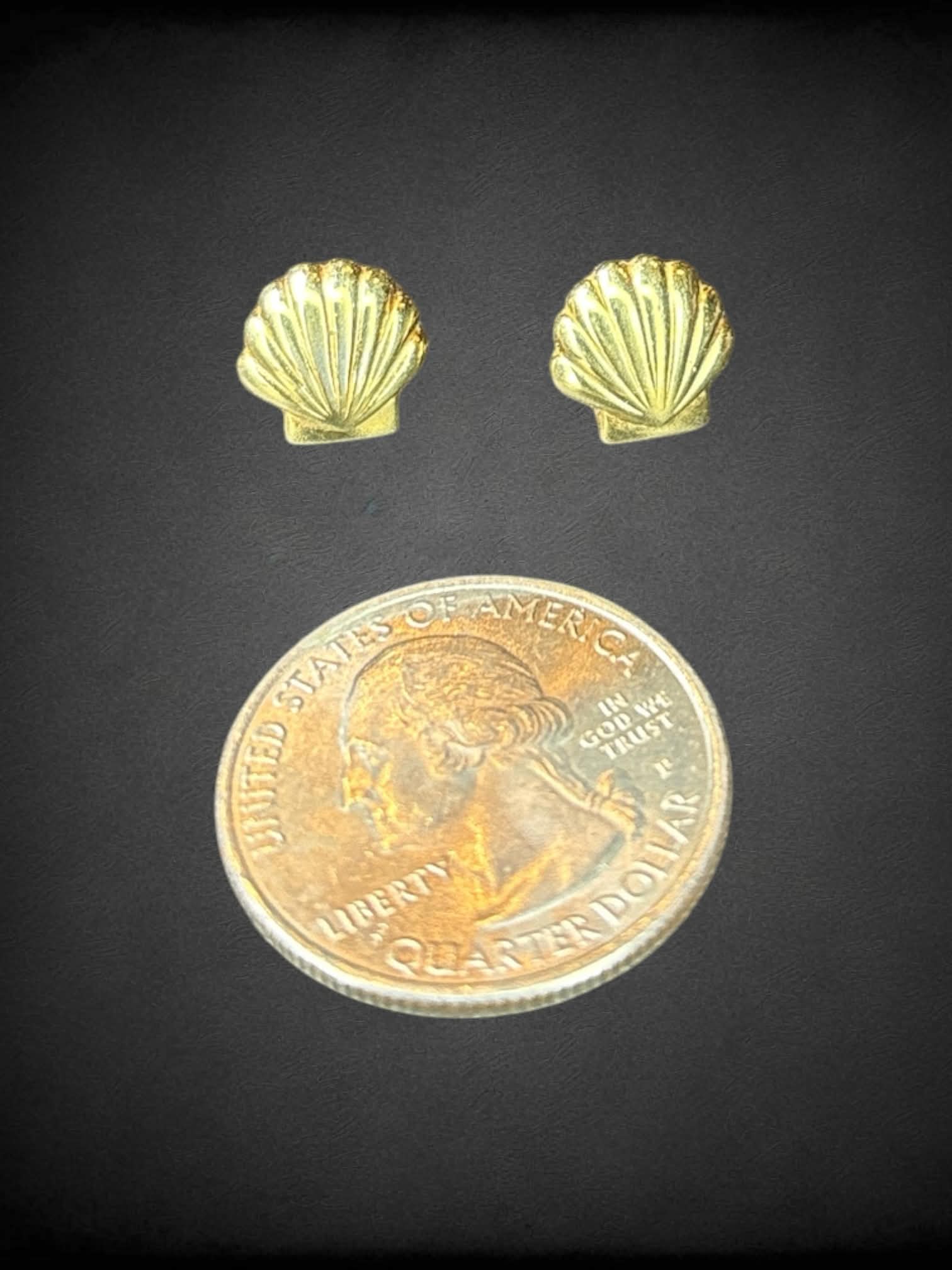 Gold clam shell earrings