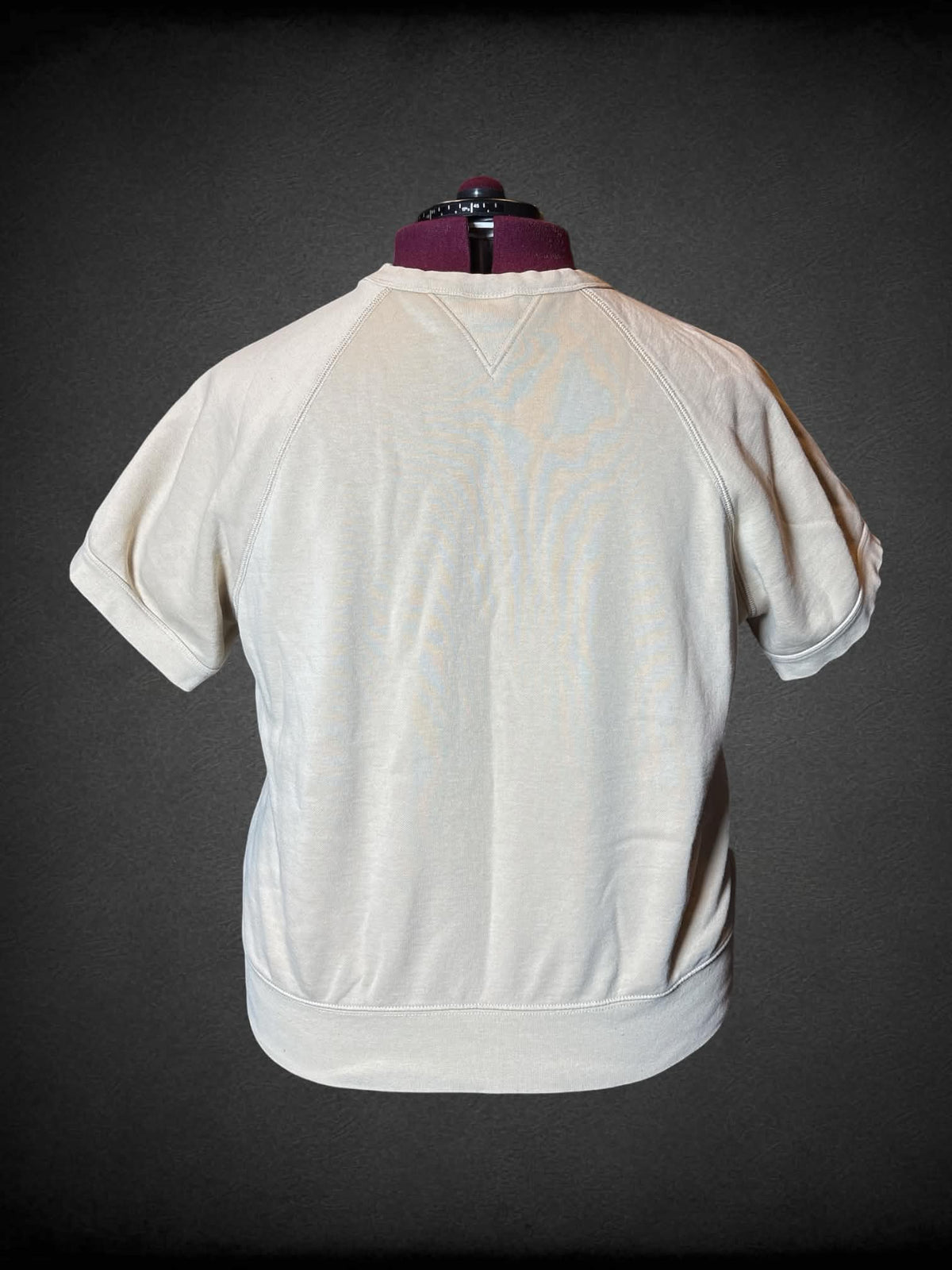 2X Champion tan cropped short-sleeve crewneck top with Champion mascot on front