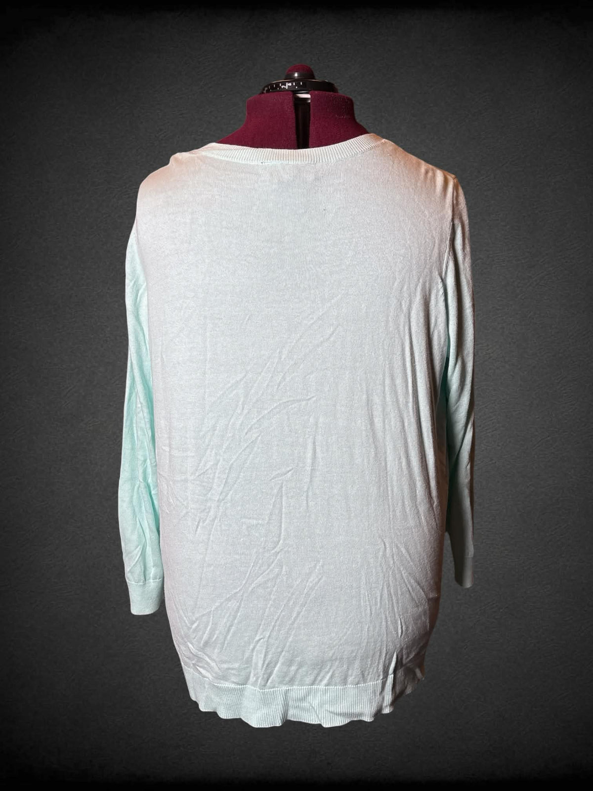 4X Lane Bryant mint green semi-sheer long-sleeve sweater with silver sequined star design on front