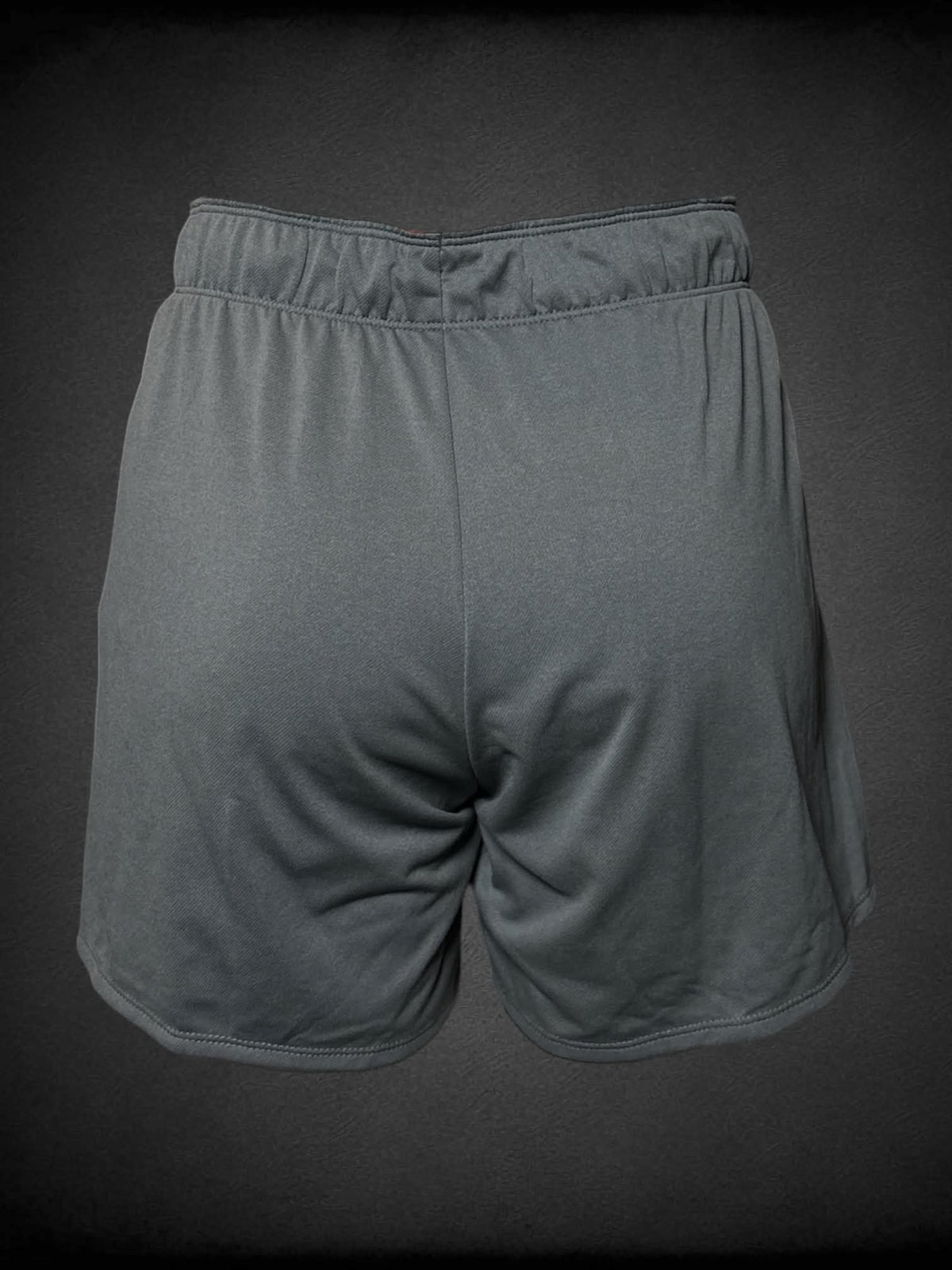 L Nike NWT grey athletic shorts with stretch waist
