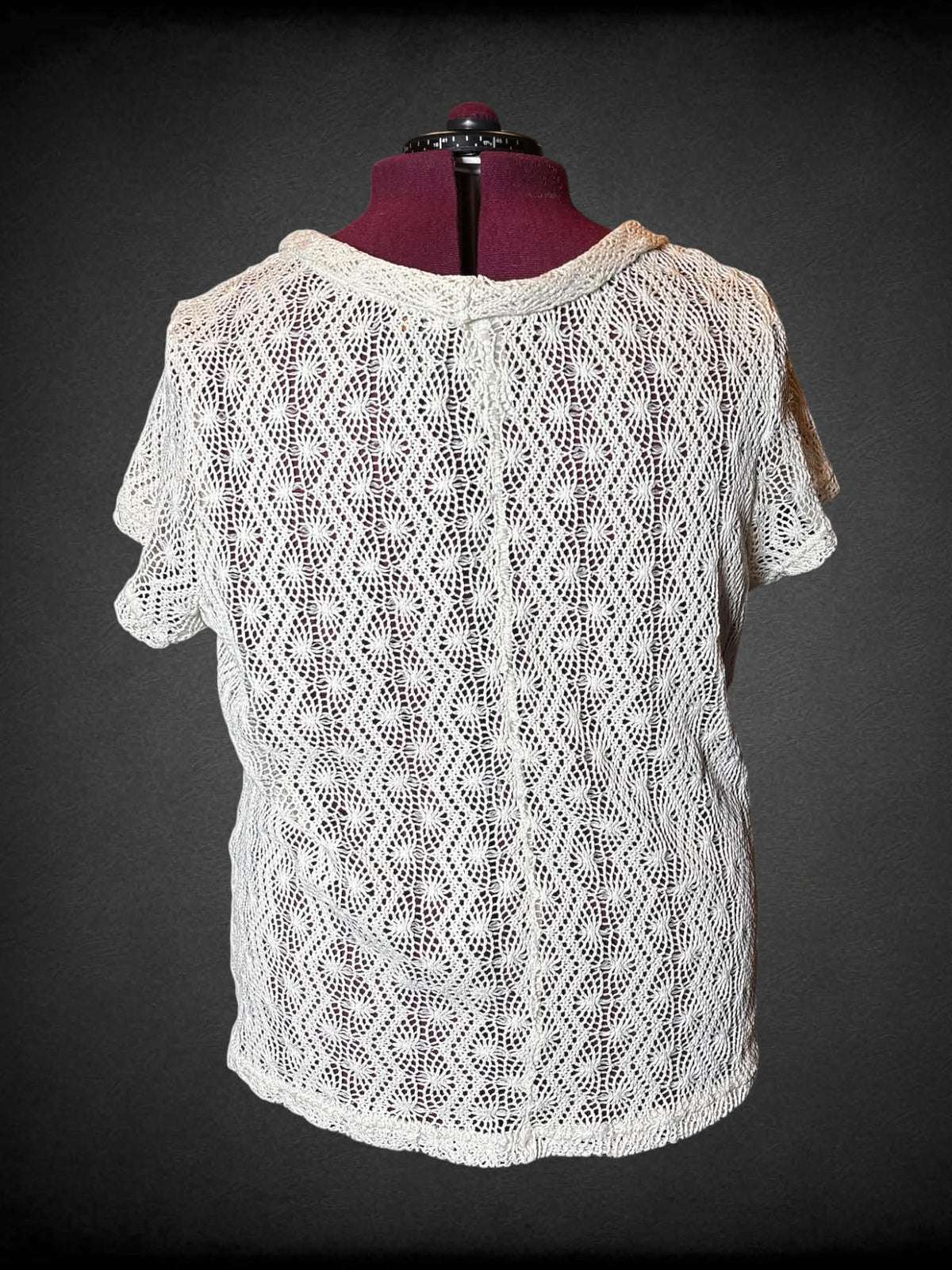 2X white sheer knit top with collar