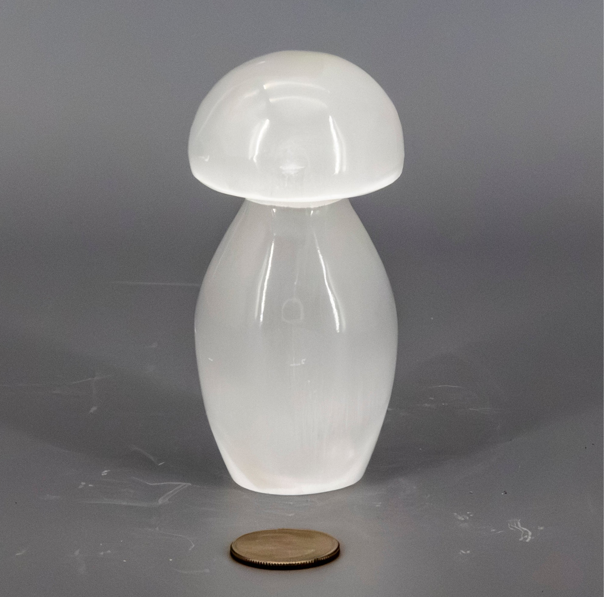 Selenite Carved Mushroom