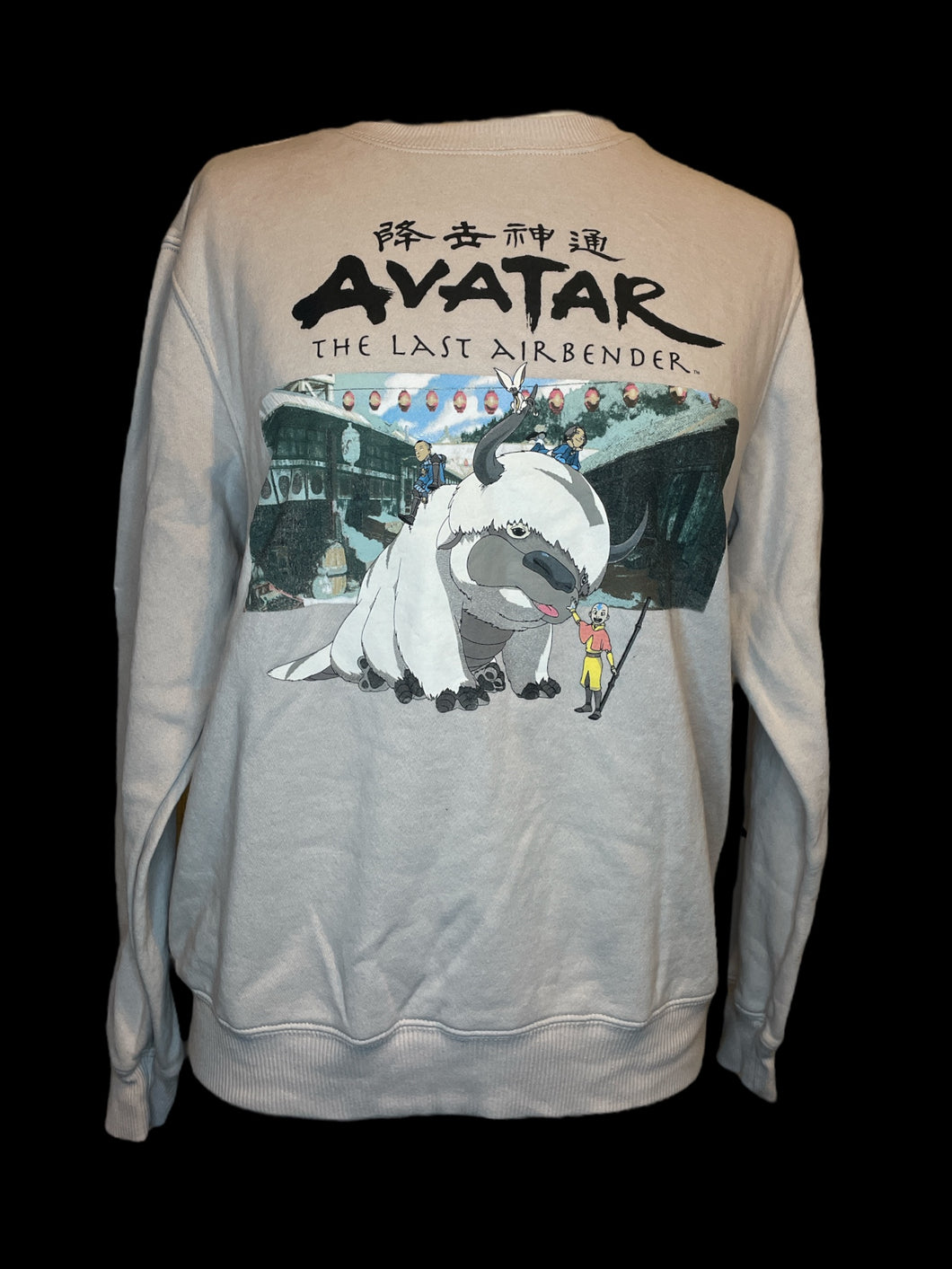 0X Lilac “Avatar the Last Airbender” long sleeve crew neck pullover sweatshirt w/ Gaang graphic