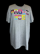 Load image into Gallery viewer, 2X Heather grey short sleeve crew neck top w/ various pride flag text “Proud 365” collegiate lettering

