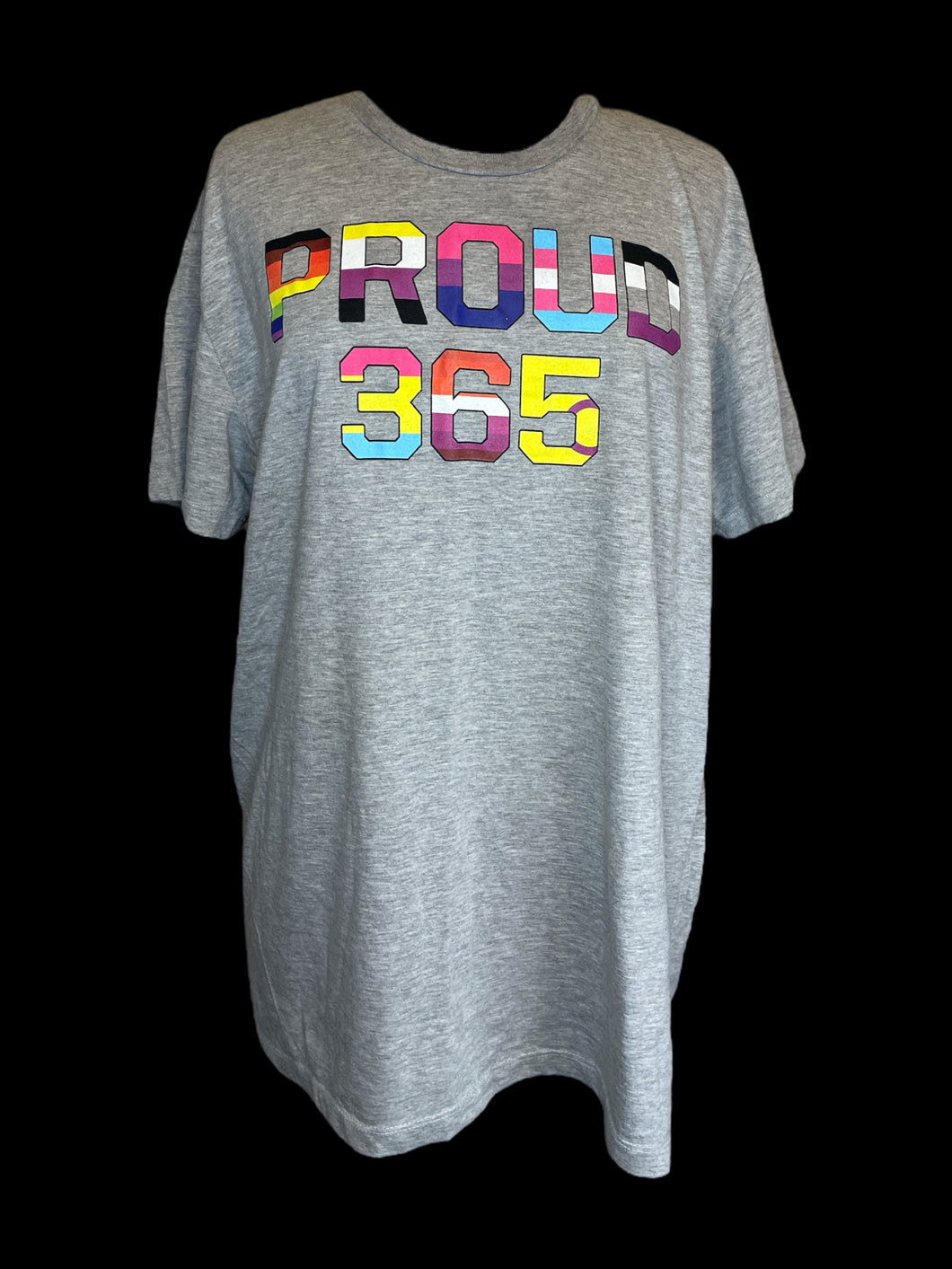 2X Heather grey short sleeve crew neck top w/ various pride flag text “Proud 365” collegiate lettering