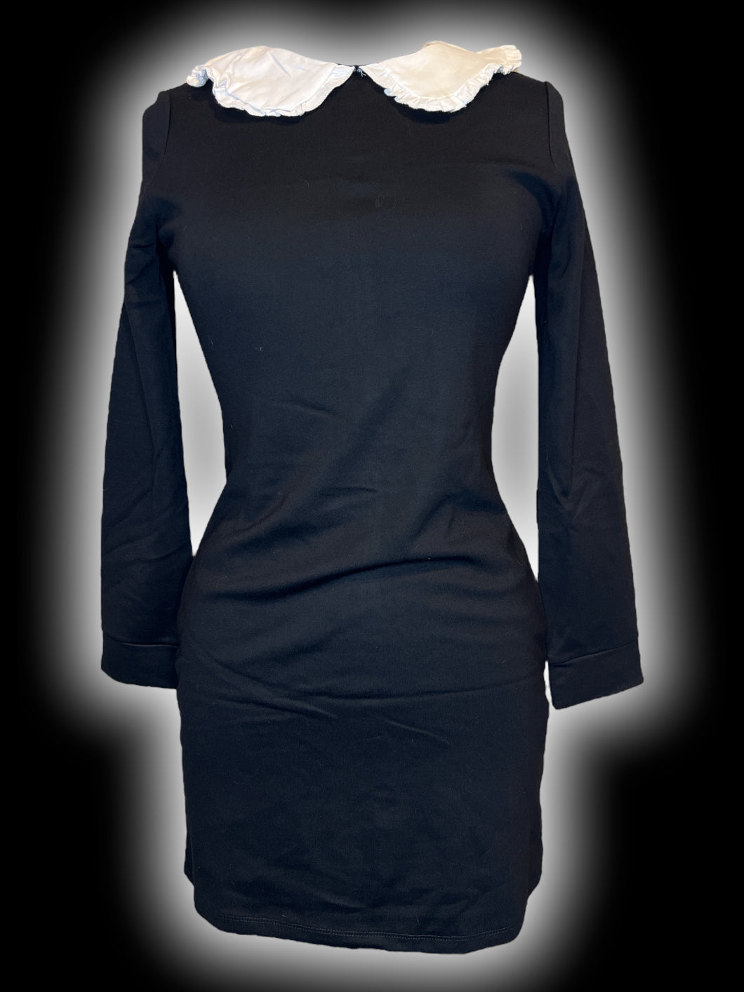 M NWT Black & white long sleeve dress w/ ruffle Peter Pan collar & zipper closure